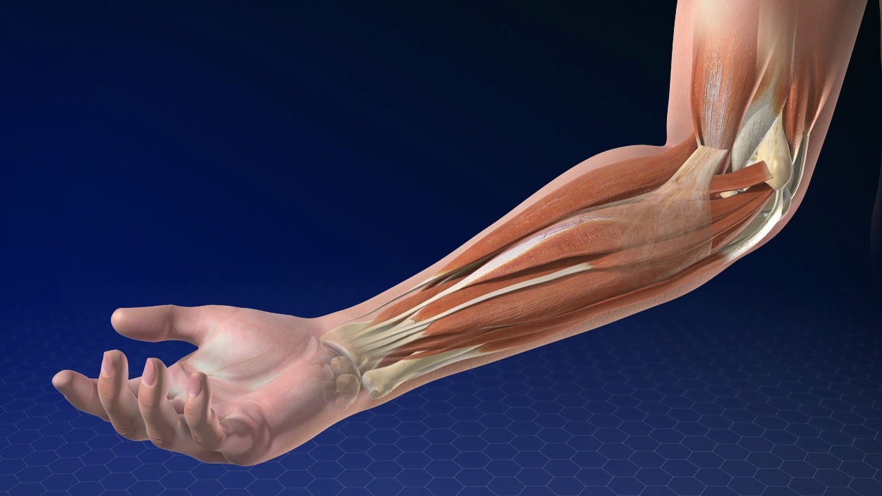 bpc 157 for elbow pain Elbow Pain: 7 Breakthrough Solutions That Actually Work