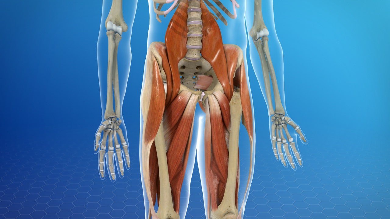 Soft-Tissue Injuries | Johns Hopkins Medicine