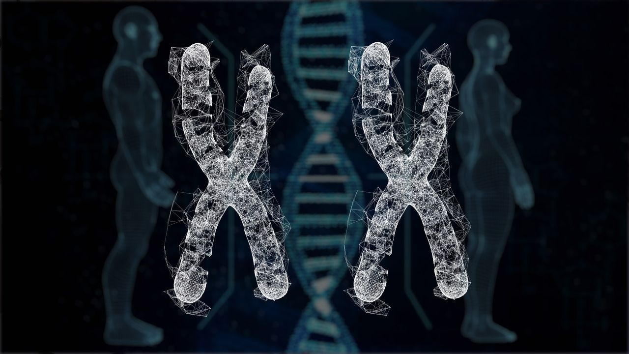 Turner Syndrome Chromosomes Karyotyping Definition, Procedure, Steps,